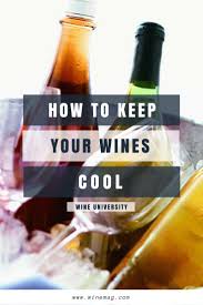 How To Keep Your Wines Cool Wine Enthusiast In 2020 Barolo Wine Wine Knowledge Wine Chiller