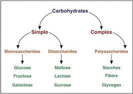 Carbohydrates