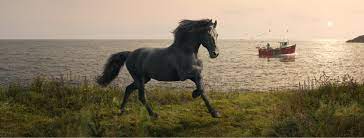 The paid up share capital and reserves of lloyds bank corporate markets plc was £4.3bn as at 31 december 2019. Lloyds Bank Home Facebook