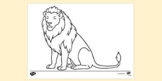 Download and print these lions coloring pages for free. 10 000 Top Lion Colouring Teaching Resources