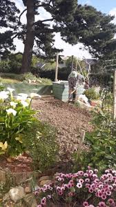 Lanester. Les légumes de La Clé des champs seront offerts aux habitants  dans le besoin - Lorient.maville.com