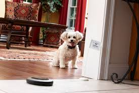 Shop.alwaysreview.com has been visited by 1m+ users in the past month Indoor Dog Fence Banish Those Stair Gates Forever Dogfence