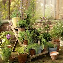 Image result for herb garden