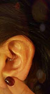 Pin By Delaney On Piercings Earings Piercings Ear Piercings Daith Piercing