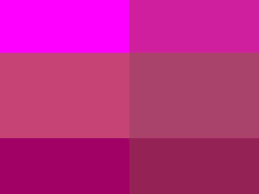 Fucsia Como Usar A Cor Na Decoracao E Fotos De Ambientes