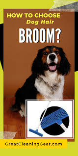 Best Broom For Dog Hair On Hardwood Floors 2020 Great Cleaning Gear Dog Hair Best Broom Hardwood Floors
