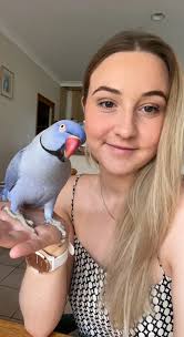 Meet Halmet, the bird that's also a therapist!