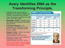 Maybe you would like to learn more about one of these? Chapter 8 From Dna To Protein 8 Ppt Download