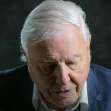 The 25+ Best Documentaries About Climate Change, Ranked by Fans