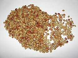 Image result for Macrotyloma maranguense
