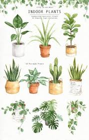 10 Indoor Decorative Plants To Bring Freshness At Your House 2 Houseplants Indoorplants Plantsideas Lumbung Batu Co Tanaman Udara Tanaman Indoor Clip Art