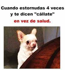 Pin De Diana Torres En Words Memes Viejitos Humor Grafico