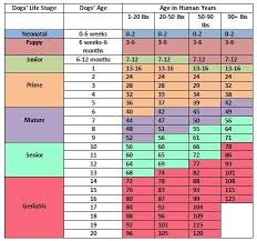 Chart That Determines A Dogs Age In Human Years Dog Ages