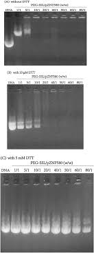 Sehingga, nilai kpk dari 5 dan 8 adalah 40. A Peg B Poly Disulfide L Lysine Based Redox Responsive Cationic Polymer For Efficient Gene Transfection Journal Of Materials Chemistry B Rsc Publishing Doi 10 1039 C8tb03226b