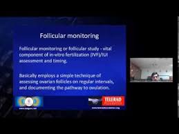 Ultrasound Follicular Study And Monitoring Video By Dr Prasanna