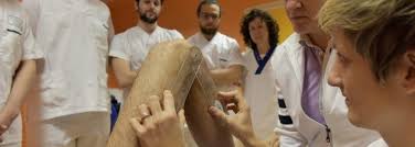 Fisioterapia
