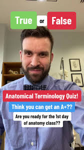 Anatomical Terminology True False Test