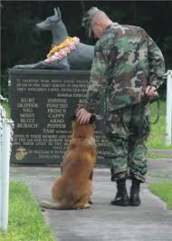 War Dogs Cani Da Lavoro Cani Poliziotto Cani Militari