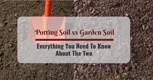 Post and it was about bagged garden soil *and* potting mixes. Potting Soil Vs Garden Soil Most Common Differences
