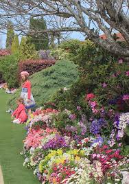 We did not find results for: All Year Colour Study Learn Garden Design At Home