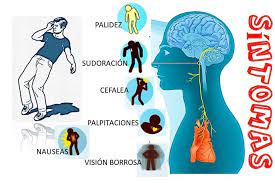 It is usually triggered by emotional. El Sincope Vasovagal