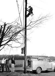 Image result for Great Lakes Medium Green Dark 1956 Wayne Works