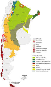 2 1 Map Of Model Forests In Argentina Download Scientific Diagram