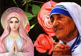 IL FRUTTO del silenzio è la preghiera IL FRUTTO della preghiera è la fede  IL FRUTTO della fede è l'amore IL FRUTTO dell'amore è il servizio IL FRUTTO  del servizio è la