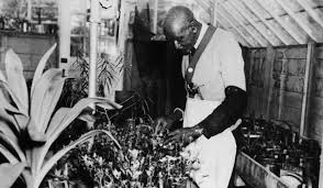 Devoting his life to understanding nature, he is credited with creating hundreds of new products from crops, and developing agricultural innovations that have become the stadards of today. In Search Of George Washington Carver S True Legacy History Smithsonian Magazine