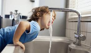 what's lurking in your water? shocking