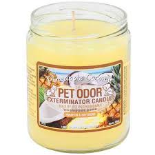 5 thoughts i had while streaming the 'loki' season finale Pet Odor Exterminator Candle Pineapple Coconut Buy Online In Bahamas At Bahamas Desertcart Com Productid 20261790