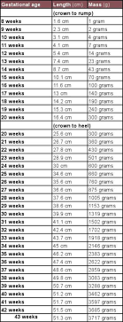 download unborn baby growth chart in excel for free