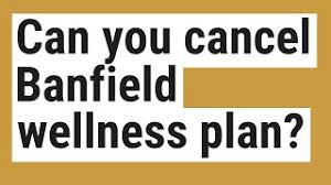 Can You Cancel Banfield Wellness Plan Youtube