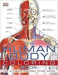 The brain is the most important organ in the human body. Amazon Com The Human Body Coloring Book The Ultimate Anatomy Study Guide 8589097777771 Dk Books