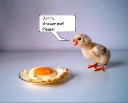 Image result for funny pics of animals