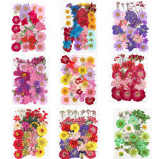 We did not find results for: Buy 1 Pack Diy Dried Flowers Resin Mold Fillings Uv Expoxy Flower For Nail Art Pressed Flowers For Home Decor Handicraft Cicig