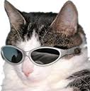 Twitchquotes is the leading database for twitch chat quotes, copypastas, and ascii art. Coolcat By Kover Undercover Frankerfacez