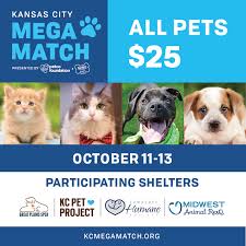 Don't miss what's happening in your neighborhood. Kc Mega Match Adoption Event This Weekend Kc Pet Project