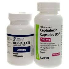 Image result for Cephalexin