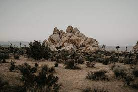 Joshua Tree National Park Skull Rocks Hidden Valley Trail Joshua Tree National Park National Parks Joshua Tree