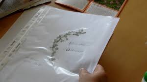 Kostenlose arbeitsblätter und unterrichtsmaterial für die grundschule zum thema arbeitsblätter bäume prächtig und groß sind sie überall zu sehen, die höchsten pflanzen der erde: Video Ein Herbarium Erstellen