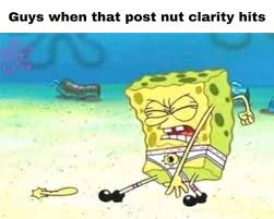 Best 30 Post Nut Clarity Fun On 9gag