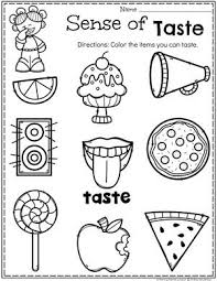 5 Senses Planning Playtime Five Senses Preschool Senses Preschool Five Senses Worksheet