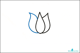 How to draw a simple lotus flower. How To Draw Lotus Easy Step By Step Guide
