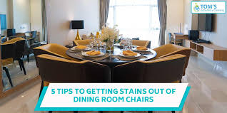 Inspired by greek and roman classicism, the lines never tire and feel just as relevant today as they did 200 years ago. Top 5 Stain Removal Tips For Upholstery Dining Room Chair