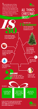 We, at fraser tree care mean it when we say we're here to help you. A Christmas Tree Guide Trimming Care And The Origins
