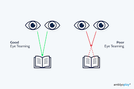 Image result for artistic divergence eyeballs