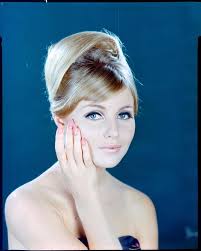 Powerhouse Collection