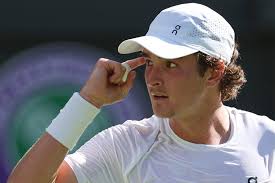 Cilic upstages local hope Draper, turning back the clock at Wimbledon