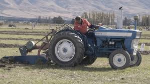 Image result for Gray 1965 Tractor